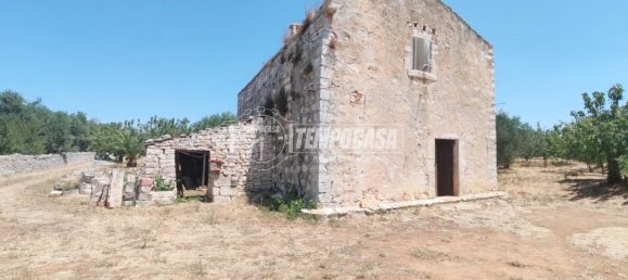 3 rooms House in Putignano, Italy No. 293662 14