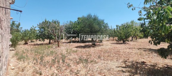 3 rooms House in Putignano, Italy No. 293662 12