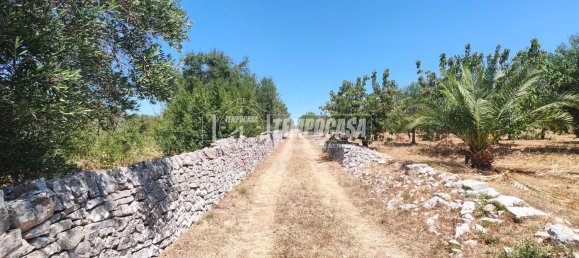 3 rooms House in Putignano, Italy No. 293662 6