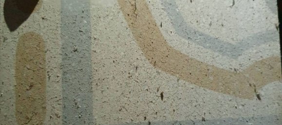 Gewerbliche Immobilie in Lucca, Italy 140m², Nr. 35169 15