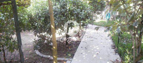 5 bedrooms House in Povoa de Varzim, Portugal No. 49717 3