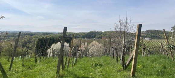  Land in Ottendorf an der Rittschein, Austria No. 130794 9