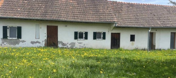  Land in Ottendorf an der Rittschein, Austria No. 130794 5