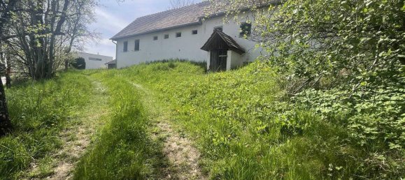  Land in Ottendorf an der Rittschein, Austria No. 130794 7