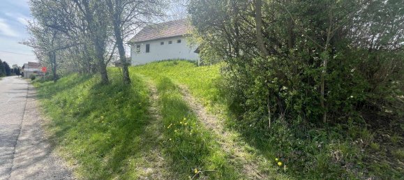  Land in Ottendorf an der Rittschein, Austria No. 130794 8