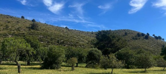 Terreno en Alcudia, Spain No. 155635 3