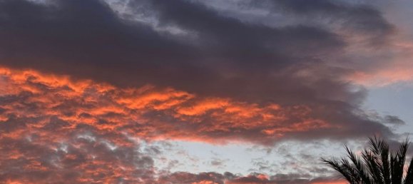 Terreno en Alcudia, Spain No. 155635 17