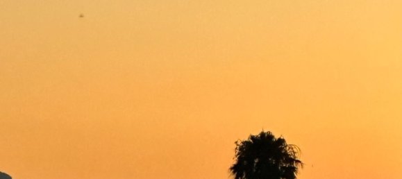 Terreno en Alcudia, Spain No. 155635 21