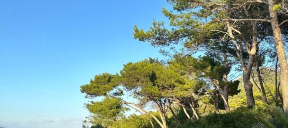 Terreno en Alcudia, Spain No. 155635 15