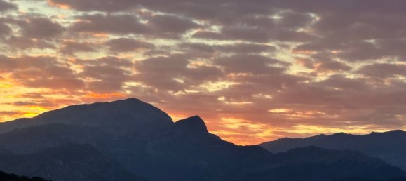 Terreno en Alcudia, Spain No. 155635 23