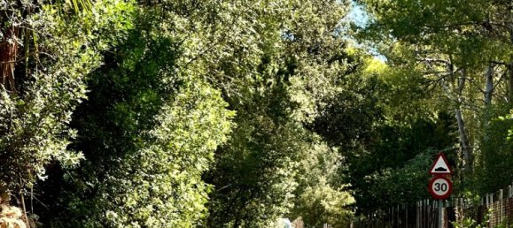 Terreno en Alcudia, Spain No. 155635 26