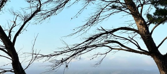 Terreno en Alcudia, Spain No. 155635 14