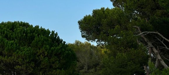 Terreno en Alcudia, Spain No. 155635 24