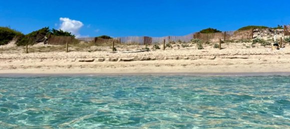 Terreno en Alcudia, Spain No. 155635 7