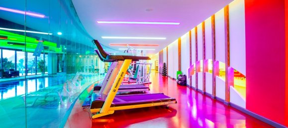 Apartment 2+1 in Kargicak, Turkey No. 319 15