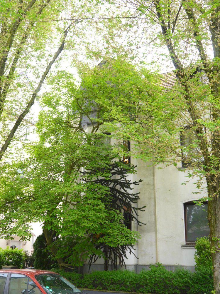 4 bedrooms House in Essen, Germany No. 370229