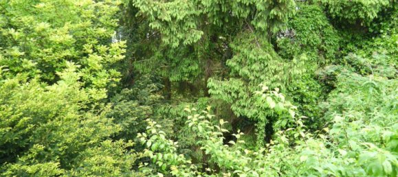 4 bedrooms House in Essen, Germany No. 370229 22