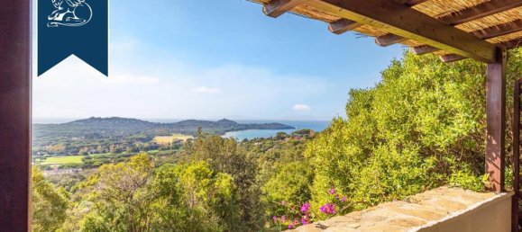 14 bedrooms Villa in Castiglione della Pescaia, Italy No. 110475 16