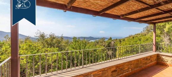 14 bedrooms Villa in Castiglione della Pescaia, Italy No. 110475 14