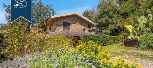 14 bedrooms Villa in Castiglione della Pescaia, Italy No. 110475 6