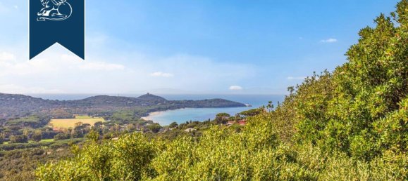 14 bedrooms Villa in Castiglione della Pescaia, Italy No. 110475 11