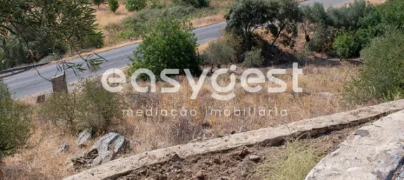 Земельный участок в Алкотин, Португалия № 39801 10