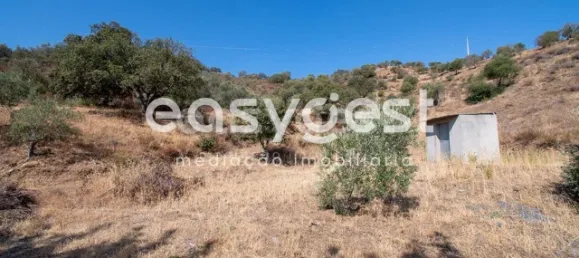 Земельный участок в Алкотин, Португалия № 39801 17