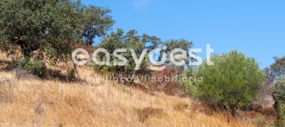 Земельный участок в Алкотин, Португалия № 39801 5