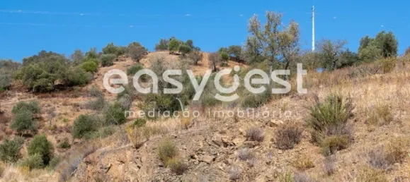 Земельный участок в Алкотин, Португалия № 39801 12