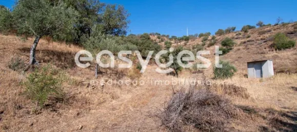 Земельный участок в Алкотин, Португалия № 39801 16