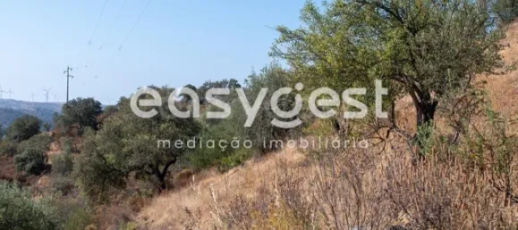 Земельный участок в Алкотин, Португалия № 39801 6