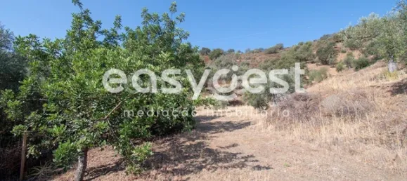 Земельный участок в Алкотин, Португалия № 39801 18