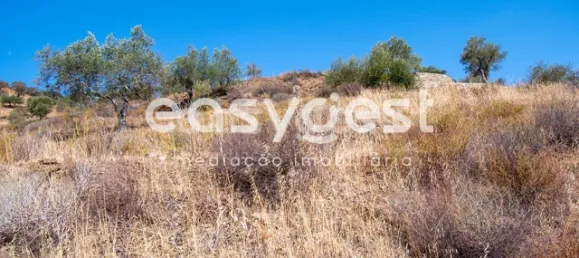 Земельный участок в Алкотин, Португалия № 39801 19