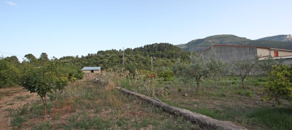 Grundstück in Murla, Spain 328m², Nr. 79742 7