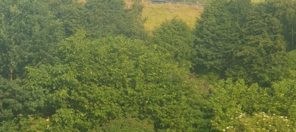 6-Zimmer Haus in Bielefeld, Germany, Nr. 44796 8