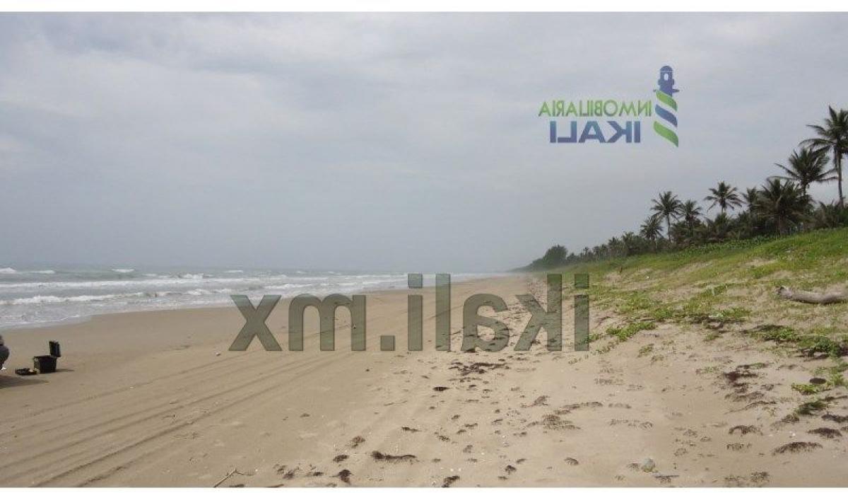  Land in Veracruz, Mexico No. 203999