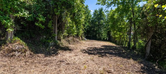 2 bedrooms House in Ribeiros, Portugal No. 164638 11