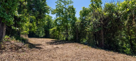 2 bedrooms House in Ribeiros, Portugal No. 164638 12