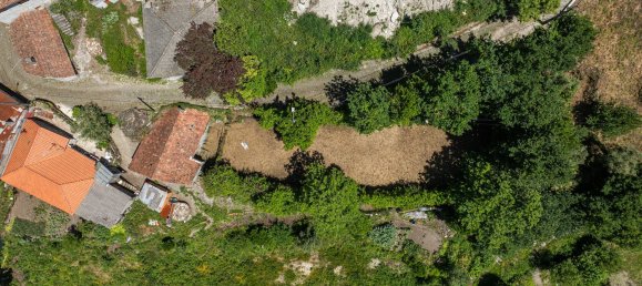 2 bedrooms House in Ribeiros, Portugal No. 164638 20