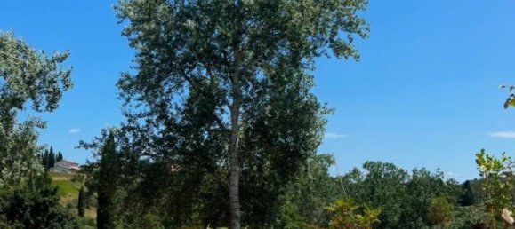 2 bedrooms House in San Miniato, Italy No. 223240 86