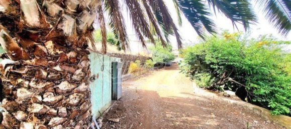 Terrain à Santa Ursula, Spain 5214m² No. 187918 16