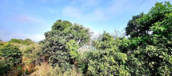 Terrain à Santa Ursula, Spain 5214m² No. 187918 2