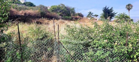 Terrain à Santa Ursula, Spain 5214m² No. 187918 6