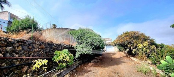 Terrain à Santa Ursula, Spain 5214m² No. 187918 15