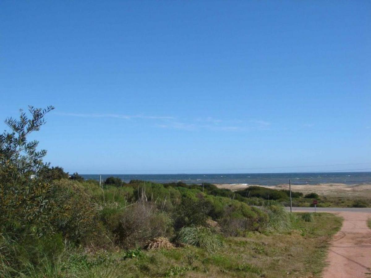  قطعة أرض في Maldonado, Uruguay رقم 14671