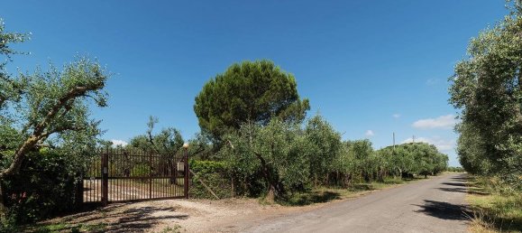 Villa de 6 dormitorios en Formello, Italy No. 109260 13