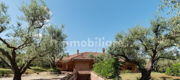 Villa de 6 dormitorios en Formello, Italy No. 109260 10