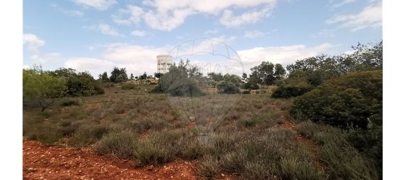 Terreno em Quelfes, Portugal 3200 m² N.º 32570 3