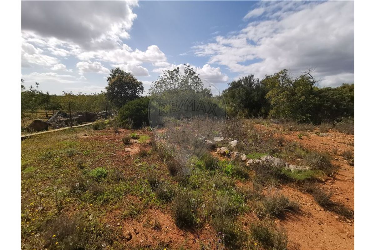 Terreno em Quelfes, Portugal 3200 m² N.º 32570