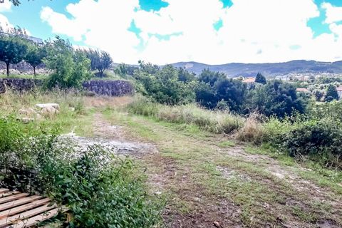  Land in Barcelos, Portugal No. 202234